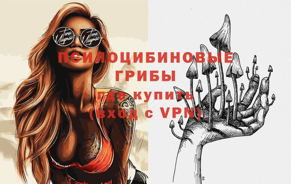 МДПВ Абинск