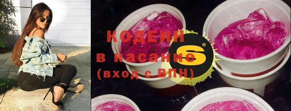 спайс Пересвет